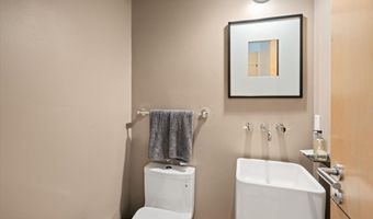 302 Wild Spring Ln, Basalt, CO 81621