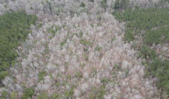 2573 SE Pricedale Dr, Bogue Chitto, MS 39629