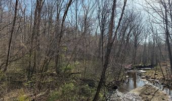 PAYNES POND RD, Arvonia, VA 23004