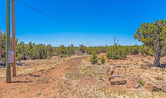 688 Stanford Dr, Concho, AZ 85924