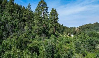 554 Pine Spring Dr, Bayfield, CO 81122