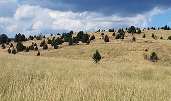 Tbd GOV LOTS 1-5, Anaconda, MT 59711