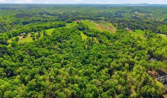 912 Four Mile Church Rd, Ball Ground, GA 30107