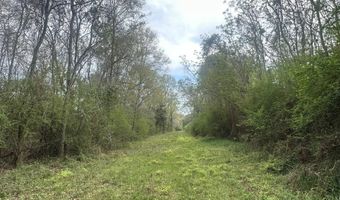 Vinson Ray Road, Baker, FL 32531