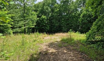 21 Collett Woods Trl Lot #21, Andrews, NC 28901