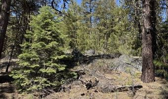Horned Owl Lane, Bonanza, OR 97623