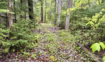 89 Don Jr Way, Altona, NY 12910