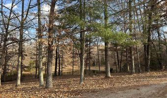 2483 County Road 314, Alton, MO 65606