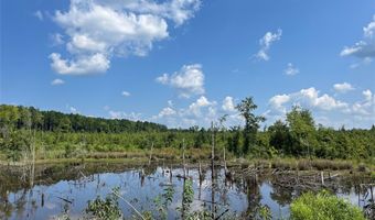 0 Ellis Jones Rd, Bienville, LA 71008