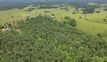 748 Puckett Rd, Anderson, MO 64831