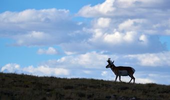 Sheep Mountain Road, Centennial, WY 82070