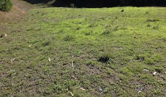 7771 ZOE Dr, Brookings, OR 97415