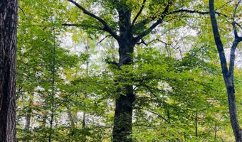 213 Patterson Creek Dr, Alderson, WV 24910