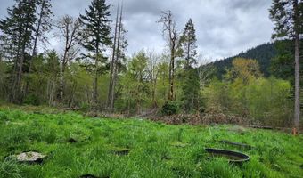 967 Placer Road Rd, Wolf Creek, OR 97497