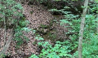 230 Harmony Vly, Alto, GA 30510