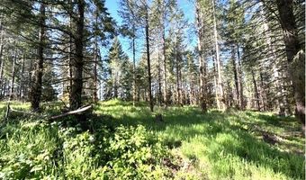 NW Lodge Rd, Banks, OR 97106