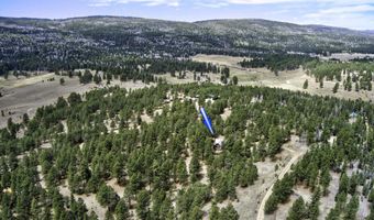 14 Winterwood Ct, Angel Fire, NM 87710