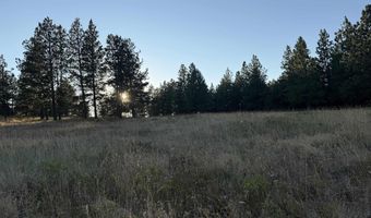 Tbd Harlow Ridge Rd - Cloverland Estates 35, Asotin, WA 99402