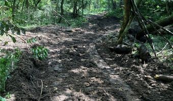 N3953-89 Bear Pen Road, Arkansaw, WI 54721