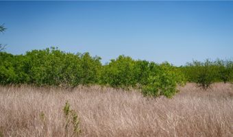 TR 4 Fm 735, Alice, TX 78332