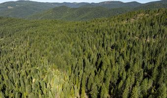 Hungry Ridge, Ashland, OR 97520