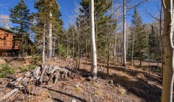 271 E Deer Trl, Brian Head, UT 84719