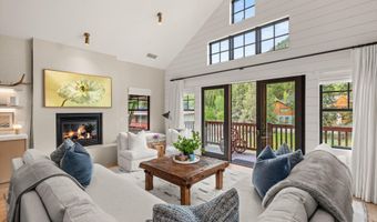 507 W Main St C-201, Aspen, CO 81611