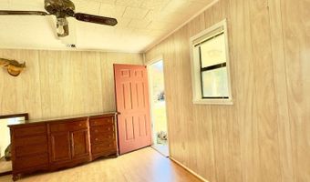 7255 Sibbie Rd, Abbeville, GA 31001