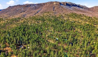 20 Co Rd 2067, Alpine, AZ 85920