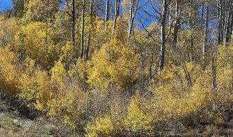 parcels at Pine Nut Creek area, Gardnerville, NV 89410