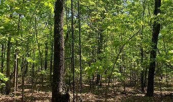 0 County Road 224, Alton, MO 65606