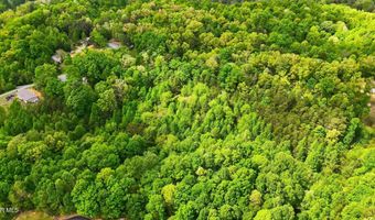 2376 Middle Creek Rd, Afton, TN 37616
