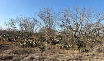 CR 119 lot 0, Alice, TX 78332
