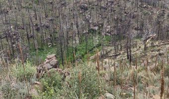 439 Redtail Ridge Way, Bellvue, CO 80512