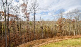 8555 Scenic Ridge Way, Ball Ground, GA 30107