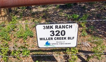 320 Miller Creek Blf, Briggs, TX 78608