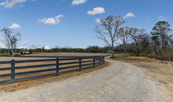2544 Wessinger Rd, Chapin, SC 29036