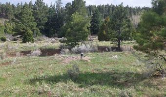 01195 Rito Hondo Rd, Antonito, CO 81120