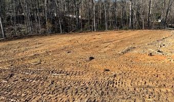 1 3 Ac Lot Green St, Chesterfield, SC 29709