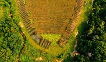 1037 Cr 300, Big Creek, MS 38914