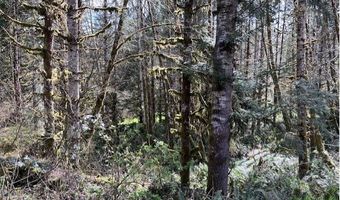 Northrup Creek Rd, Birkenfeld, OR 97016