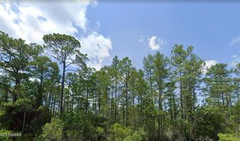 0 No Name Rd, Perry, FL 32347