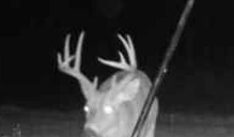 001 Farr Rd, Bolton, MS 39041