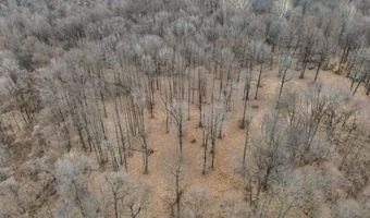 Sandy Branch Road, Bardwell, KY 42023