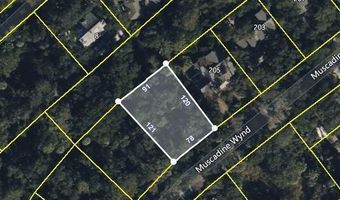 207 Muscadine Wynd, Bald Head Island, NC 28461
