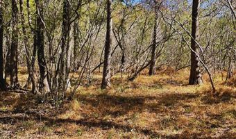 0 Hwy 8, Aberdeen, MS 39730