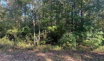 25397 TAYLOR CREEK Rd Lot 0, Amite, LA 70422