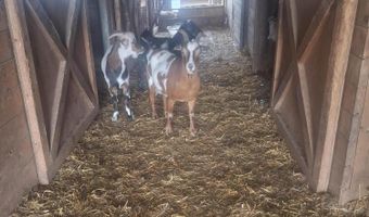 38706 114th St, Barnard, SD 57426
