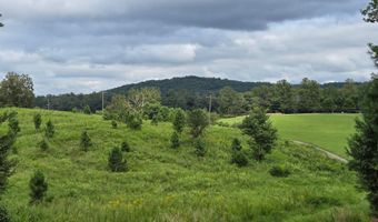 WEAVER HOLLOW Road, Banco, VA 22711