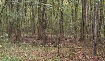 BLACK SWAMP ROAD, Felton, DE 19943